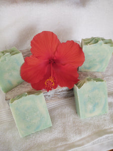 Eucalyptus Spearmint - All Nautural Spa Soap